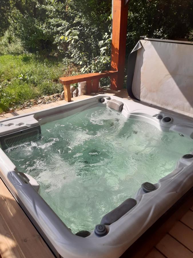 Chambre Double Avec Piscine Et Jacuzzi Bernadets-Debat Екстер'єр фото